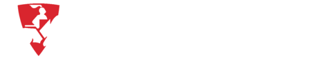 Lochinvar logo, commercial boilers we install and service